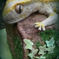 Bertie the Gecko