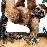 Shredded Wheat Swamp Sloth 