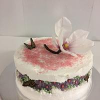 Fault line cake Magnolia Fault line cake Magnolia