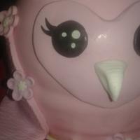 Cute owl themed cake