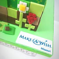 Minecraft for Make-a-Wish