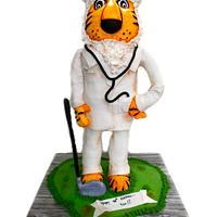 Mr.Tiger the surgeon