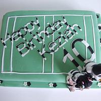 Hull FC cake