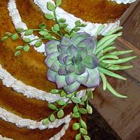 Unfrosted succulent wedding cake