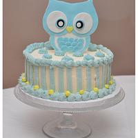 Owl themed smash cake