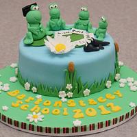 Froggy Cake for local school raffle