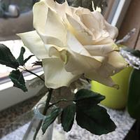 My first "white Sugar rose"