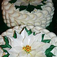 White Poinsettia