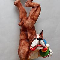 3D cake. Boxer dog