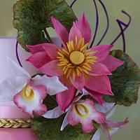 Enchanted Pink Lotus