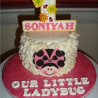 Pink Ladybug 1st Birthday
