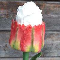 Ice Cream Tulip