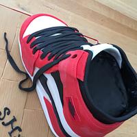 Jordan Nike trainer