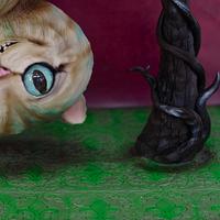 Cheshire Cat Cake: What do TSA teachers do in the summer? Learn from each other!