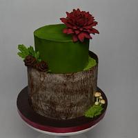 Chocolate  cake