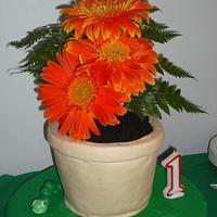 Flowerpot cake