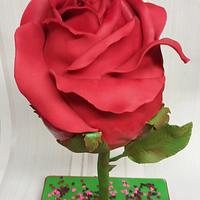 Red Valentine rose