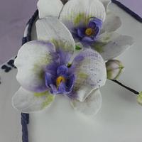 Orchid Heart