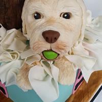 Labradoodles in a Box Birthday Cake