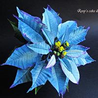 Blue Poinsettia