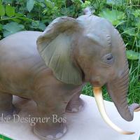 The African  elephant