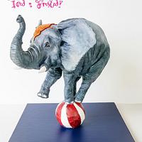 Balancing Elephant Cake!