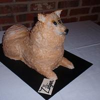 Pomeranian Cake