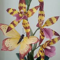 Tiger orchid and butterfly