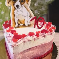 Painted cake with dog