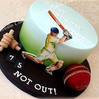 Hand Painted Cricket Theme 