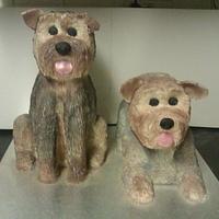 Two Yorkshire terrier cakes
