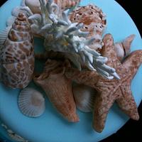Handmade seashells