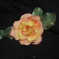 Gumpaste Roses