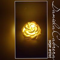 Illuminate your cakes with roses!!