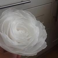 Wafer Paper Flowers 