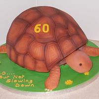 Tortoise Birthday ccake