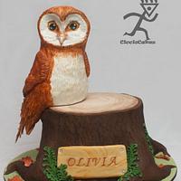 Soren from Legends of the Guardians Owl Cake all edible