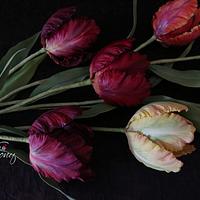 Different shades of parrot tulip