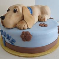 Labrador puppy cake
