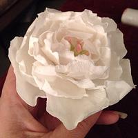 Peony Rose ... Faux cold Porcelain