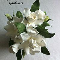 Gumpaste Gardenias 
