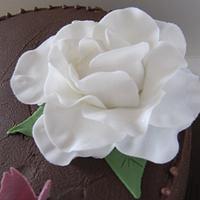 Elegant Rose Cake