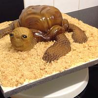 My baby sea turtle cake