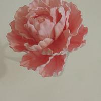 Wired peony 