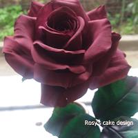Garden Rose from  S. Valentine day