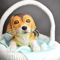 Dog in a Basket