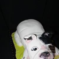 french bulldog cake