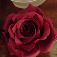 Burgundy Red Simple Sugar rose