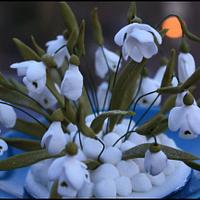 Spring flowers-Snowdrops 