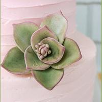Rustic buttercream with succulents